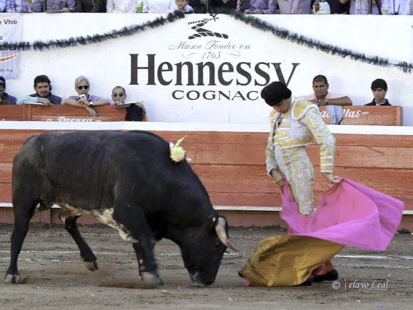 Enrique Ponce, primer espada