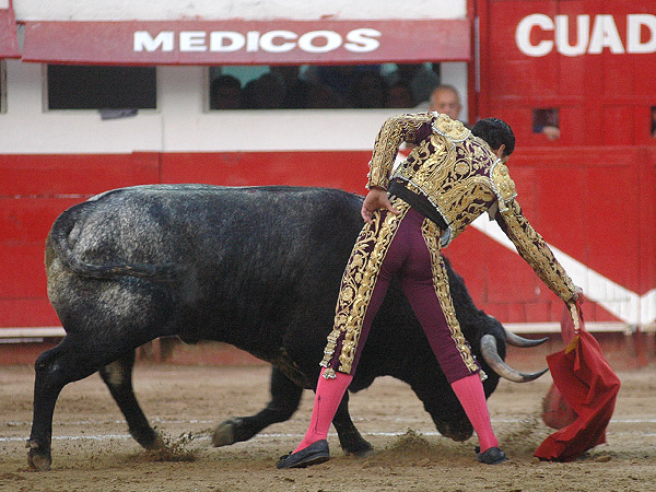 Astifinos pitones en suaves telas