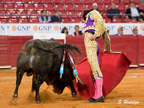 Complicada embestida