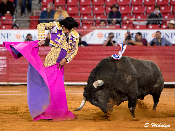 Fermin Rivera, lote muy complicado