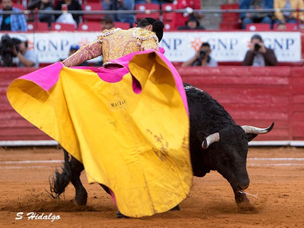 Un quite que tiene muy hecho