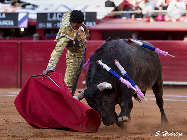 Falt� redondear con el acero