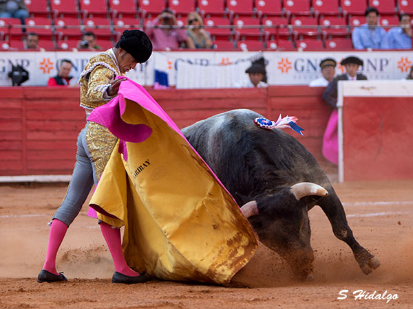 Ignacio Garibay, meritoria labor