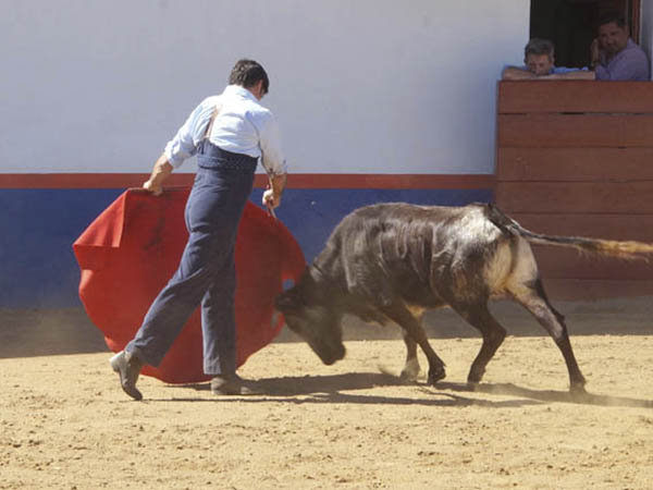 Llev�ndola con suavidad