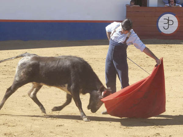 Buen pit�n izquierdo