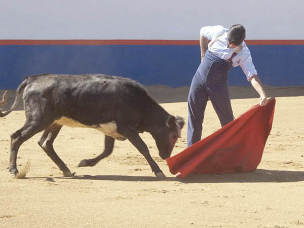 Tirando de la c�rdena