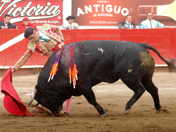 Humillado a plenitud