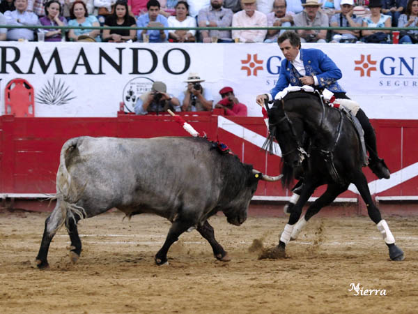 Dando el medio pecho