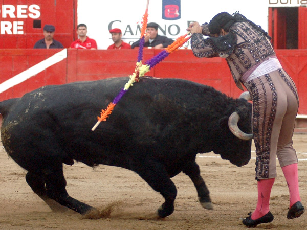 Soberbio par de Gustavo Campos