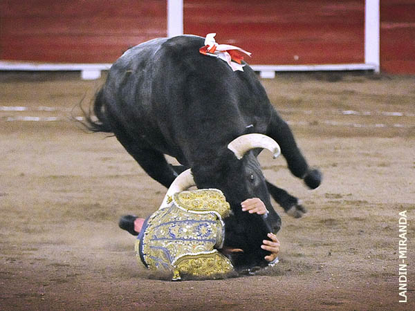 Ceb�ndose con el torero