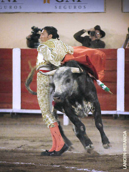 Imposible m�s ce�ido