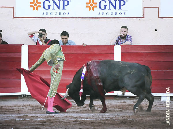 Sin oportunidad de proyecci�n