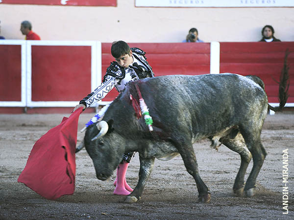 Largueza tlaxcalteca