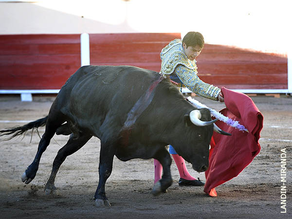 Dosantinas a contraluz