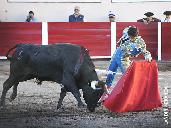 Buenos momentos con la muleta