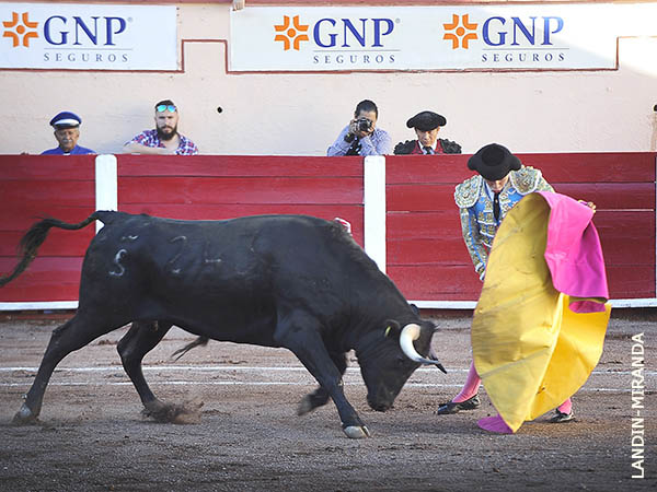 Lances de Arturo Soto