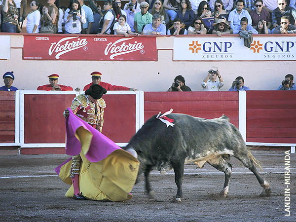 Rafa Reynoso abre la temporada