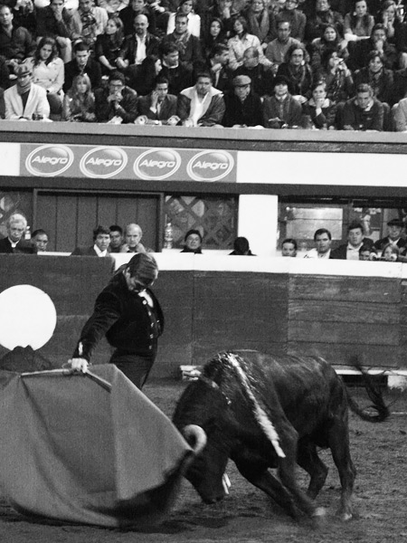 El p�blico, observa