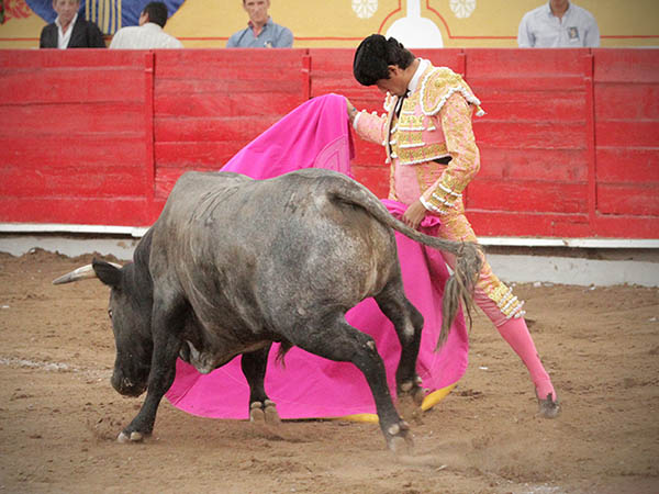 Ver�nicas en el saludo