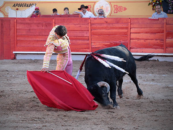 Embestida con nobleza