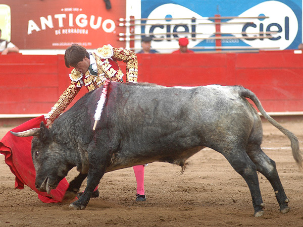 El aguante de Antonio