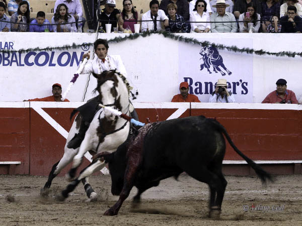 Un quiebro del pinto