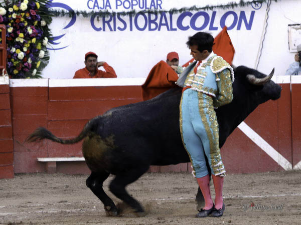 Verticalidad en las manoletinas