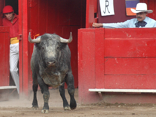 De arm�nicas hechuras