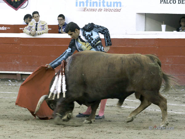 Alborot� a la gallera