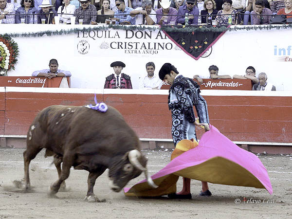 Revolera al bocinero