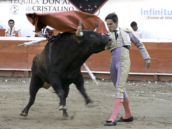 Espectacular casta�o