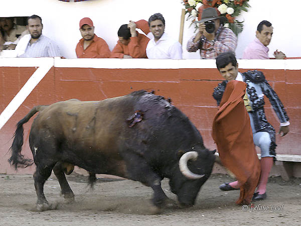 La muleta, con pinzas