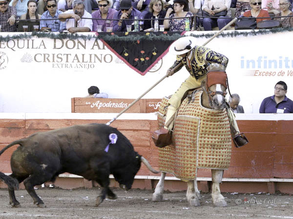 Metiendo la cara abajo