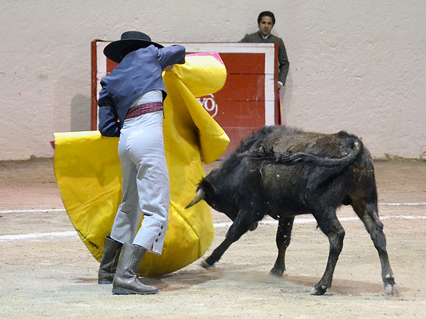 G�mez Mont, variado