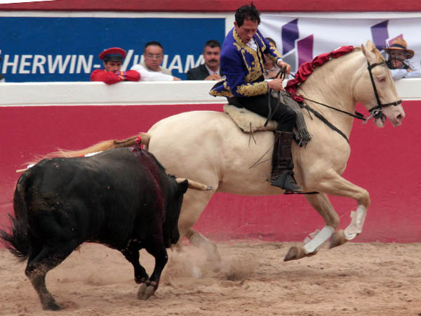 Rozo, en el toreo de costado