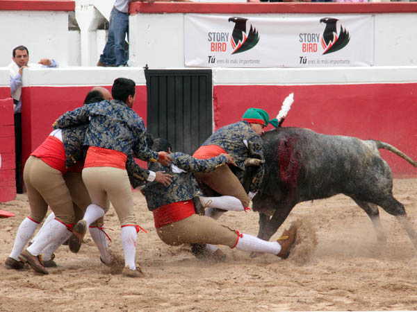 Espactaculares forcados