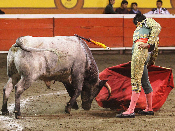 Santiago Romero con oficio
