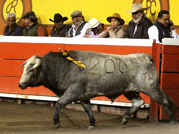 Seriedad en la presentaci�n