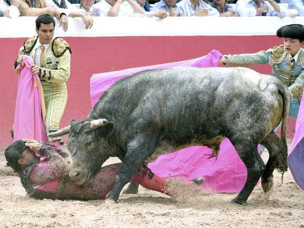 A merced del c�rdeno