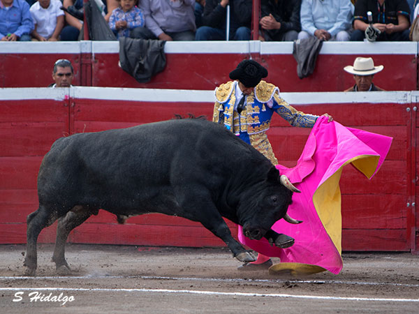 Saludando a su primero