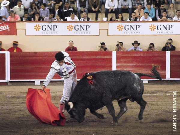 Iv�n, determinaci�n en la actitud