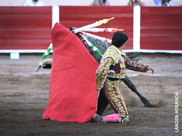Vibrante inicio de faena