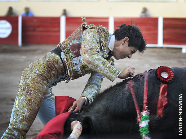 Un ca��n en el brazo