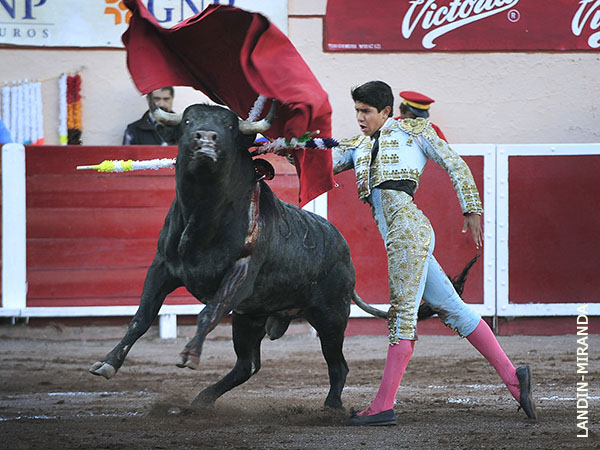 T�cnica y est�tica