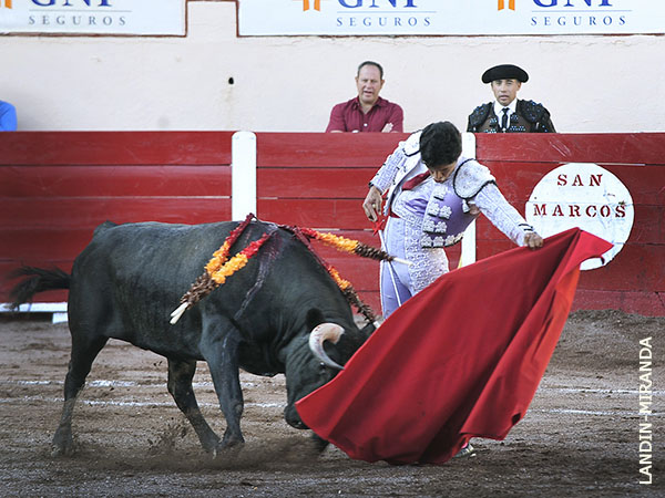 Zapatillas clavadas a la arena