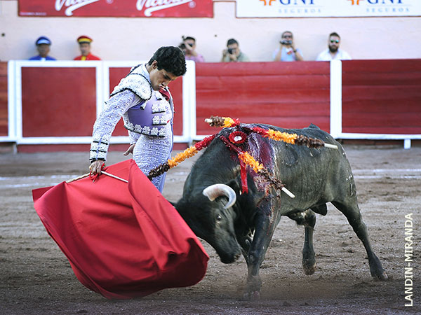 Determinaci�n de novillero