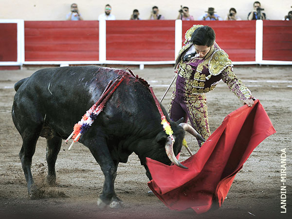 Firme, para salirle adelante