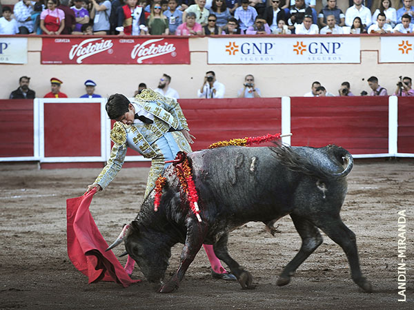 Toreabilidad, por el derecho