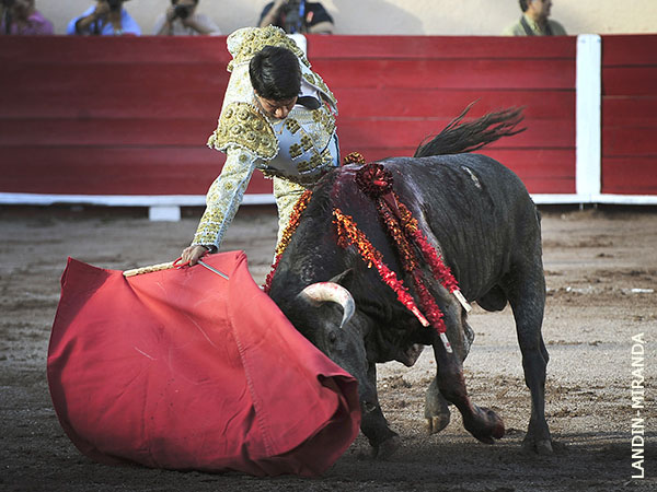 Estructura en su faena