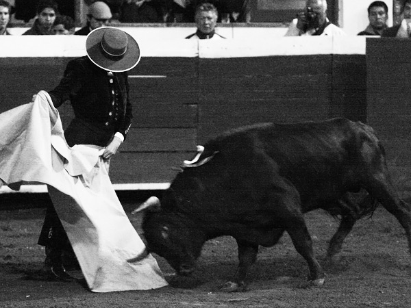 Espartaco, a la ver�nica